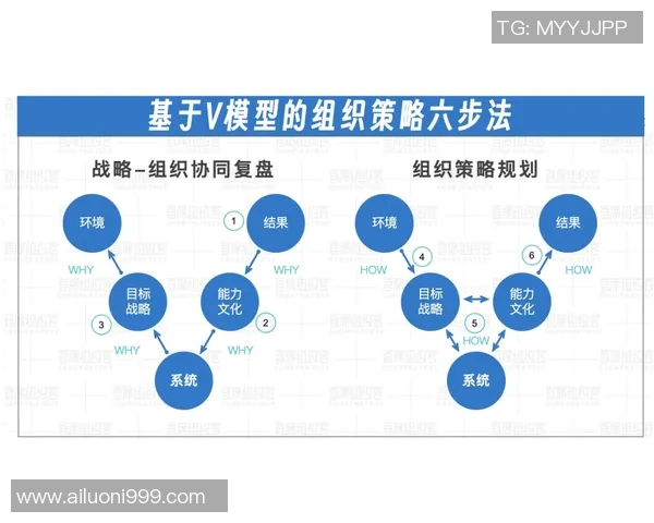 英雄联盟战队JDG的战略转型与未来发展深度分析